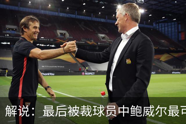 解说：最后被裁球员中鲍威尔最可惜 他某些能力远胜同位置年轻人